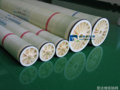 哪些女明星的衣物在市场上最为罕见