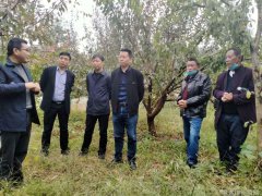 欧美明星街拍海报网欧美明星街头时尚海报展示