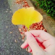 炫舞之时尚轨迹抽象搭配艺术