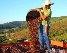时尚达人教你轻松搭配出完美造型服