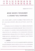 哪些明星与品牌的合作最为成功
