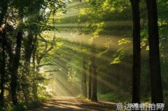 时尚博主-时尚博主的世界揭秘时尚达人的时尚秘