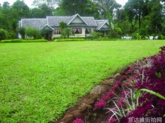 热情奔放的街头时尚另类风格大比拼