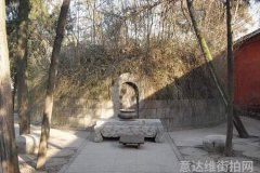 星光闪耀抽象风格明星女装潮流