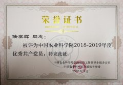 明星透明服装-透视时尚明星们如何演
