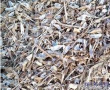 神秘巨星品牌揭秘揭秘那些明星代言的独家秘密