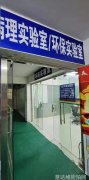 街拍明星-探寻光影中的明星风采