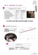 闪耀星空名星与街头潮牌的奇幻之舞
