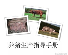 热门单品街拍-街拍达人的时尚搭配秘诀
