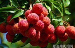 热门单品街拍时尚达人必备潮流单品潮流单品街