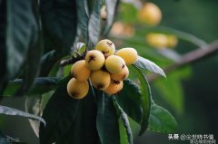 时尚搭配网-轻松打造时尚造型的秘诀