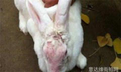 启明星街拍明星们的搞笑瞬间大曝光