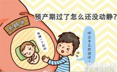 潮流风尚街头摄影师捕捉时尚博主的瞬间
