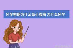 璀璨星空明星魅力之源的星星发夹