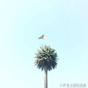 街头风尚时尚博主的个性搭配之旅