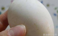 冬季内搭如何选择与搭配