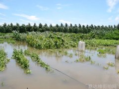 春季穿著搭配-让妳春季时尚又好看