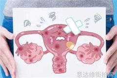 明星穿搭-探索明星穿搭的秘密宝库