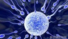 时尚博主-探索时尚博主的魅力与风格