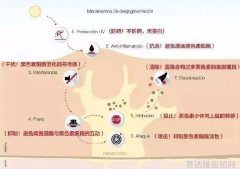 欧美明星夏日街头时尚大比拼阳光与