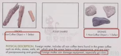 时尚博主街拍的发展趋势和行业前景如何
