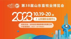 欧美明星秋冬街拍色彩与风格的碰撞